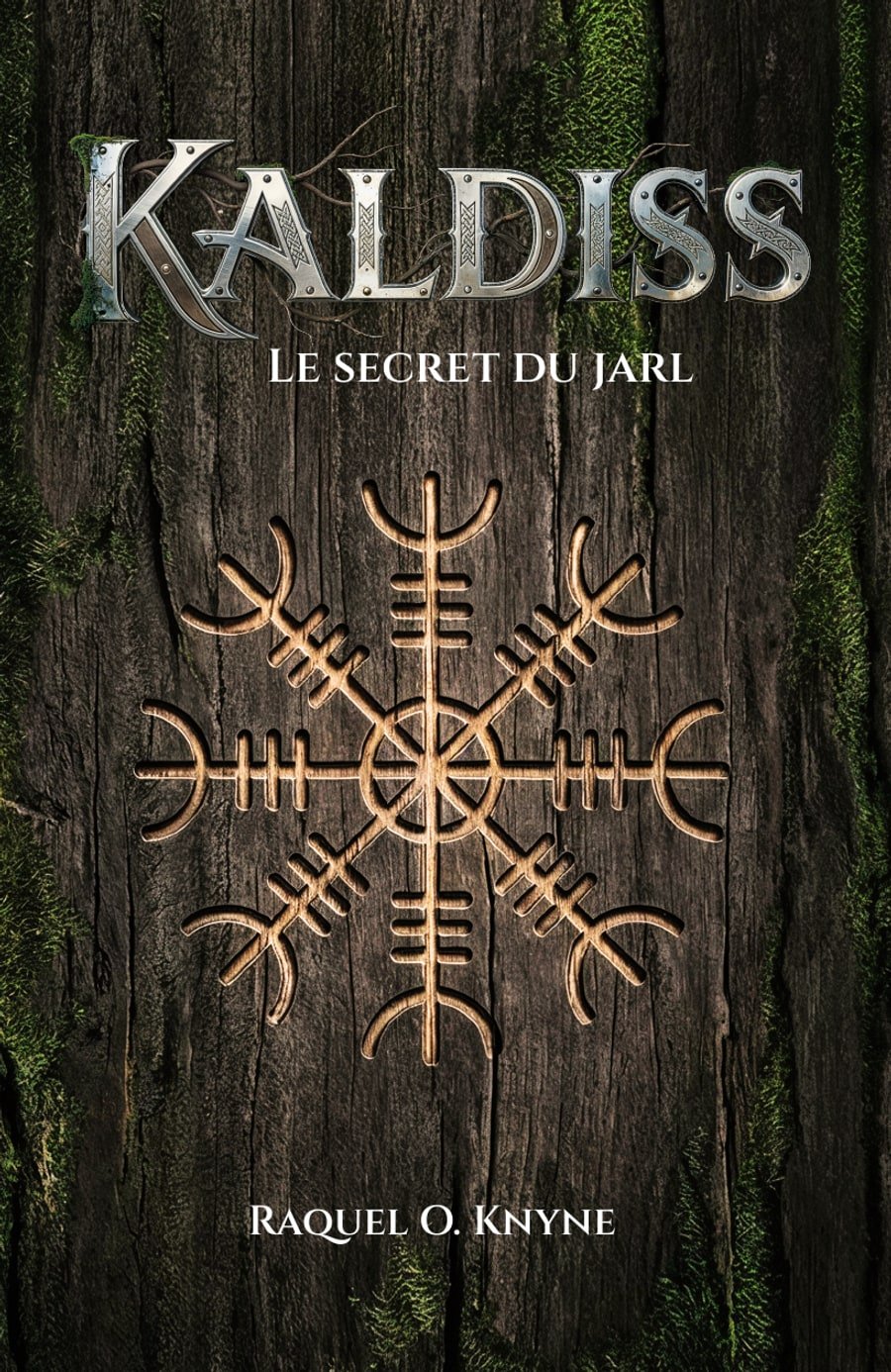 Couverture de Kaldiss, Le secret du Jarl, premier tome de la saga